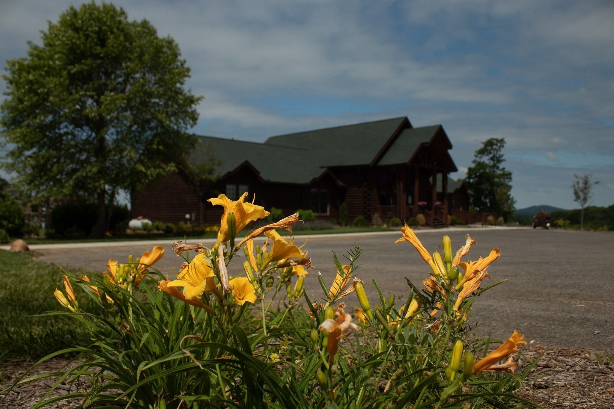 44 A Catfish Road Celina, TN 38551 - Photo 6 of 17 a view of swimming pool with an outdoor space and seating area