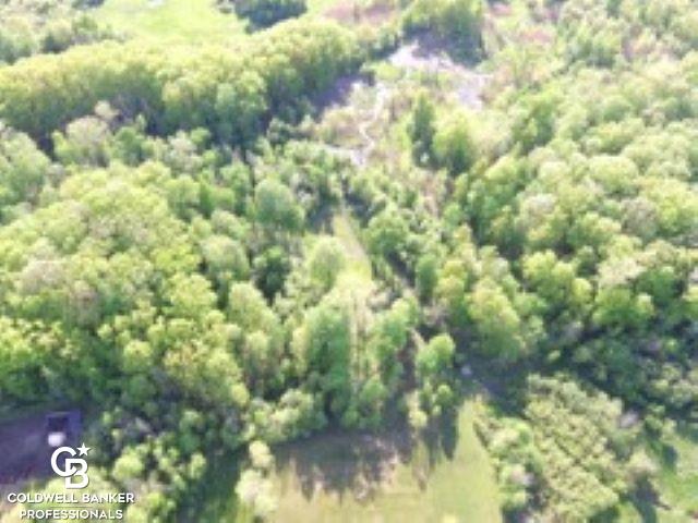 8731 Mason Road Yale, MI 48097 - Photo 35 of 40