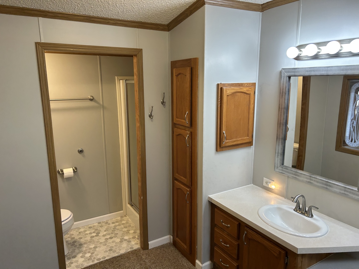 12 Walnut Street Minooka, IL 60447 - Photo 11 of 26 Gallery Image 11