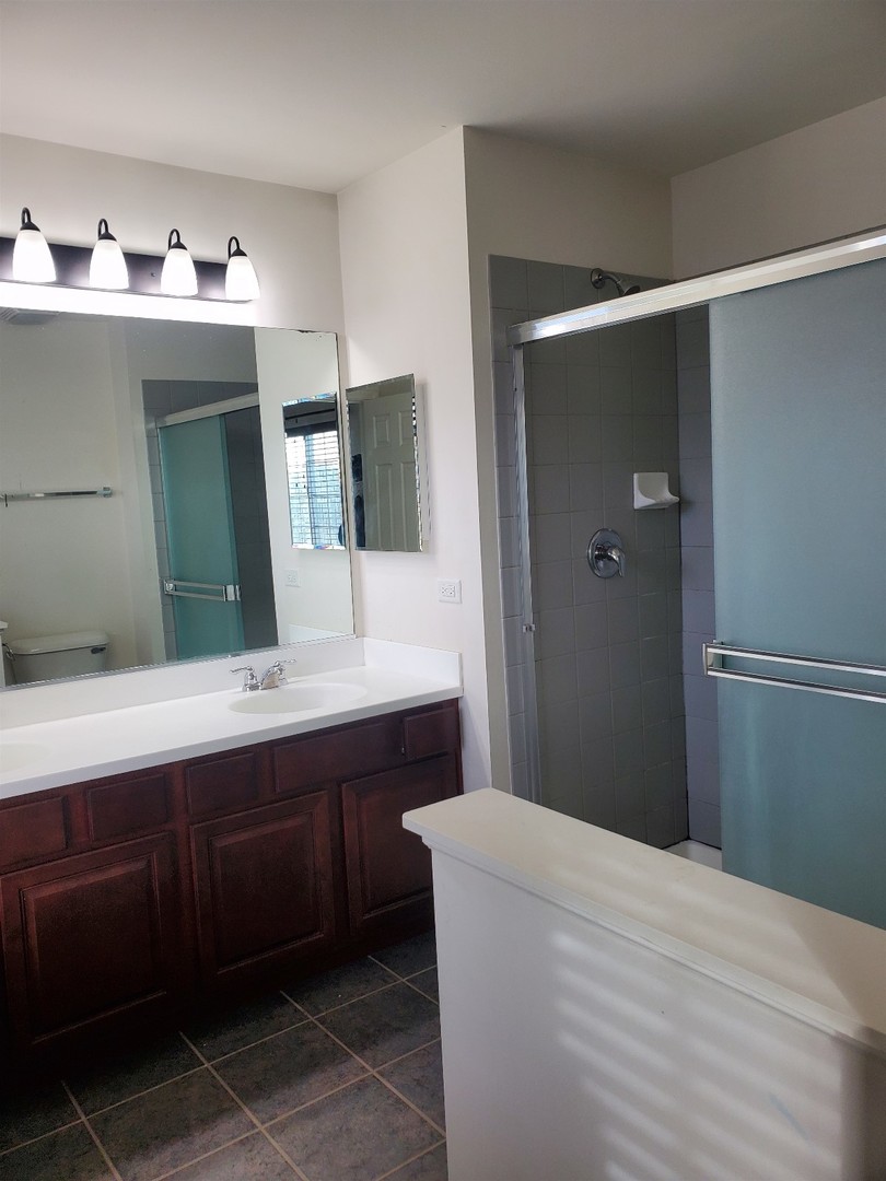 10070 Cummings Street, Unit 3401 Huntley, IL 60142 - Photo 22 of 27 a bathroom with a sink and mirror
