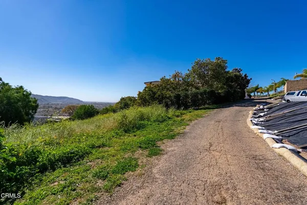 a view of a road with a yard