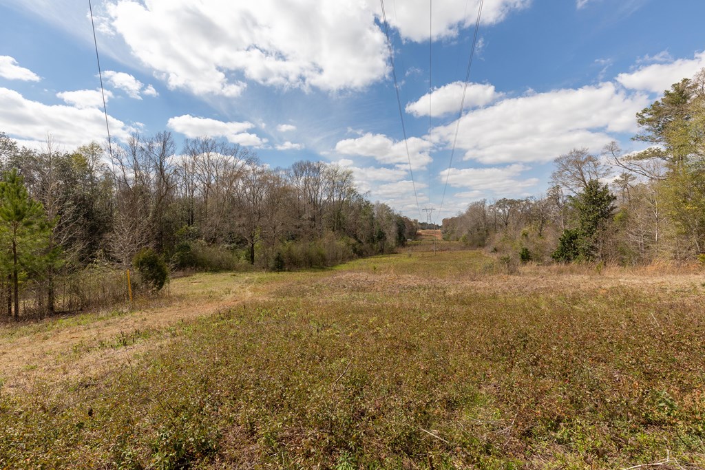 4490 Kinsey Road Dothan, AL 36303 - Photo 9 of 71