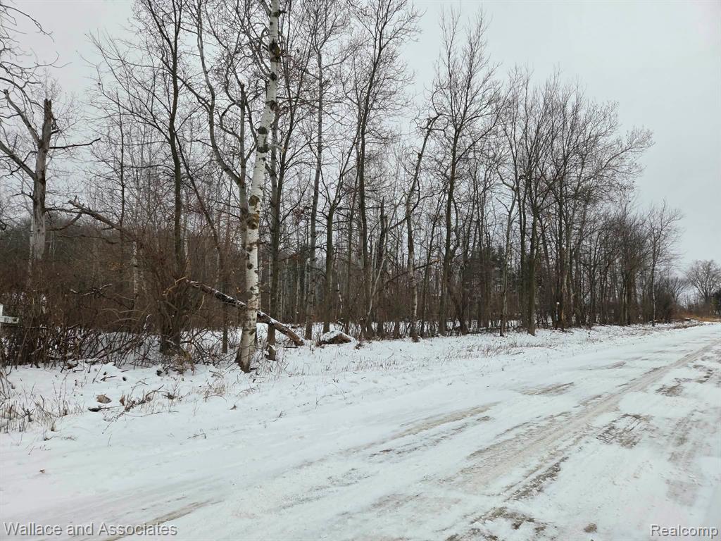 0 Hadley Road Decker, MI 48426 - Photo 10 of 18