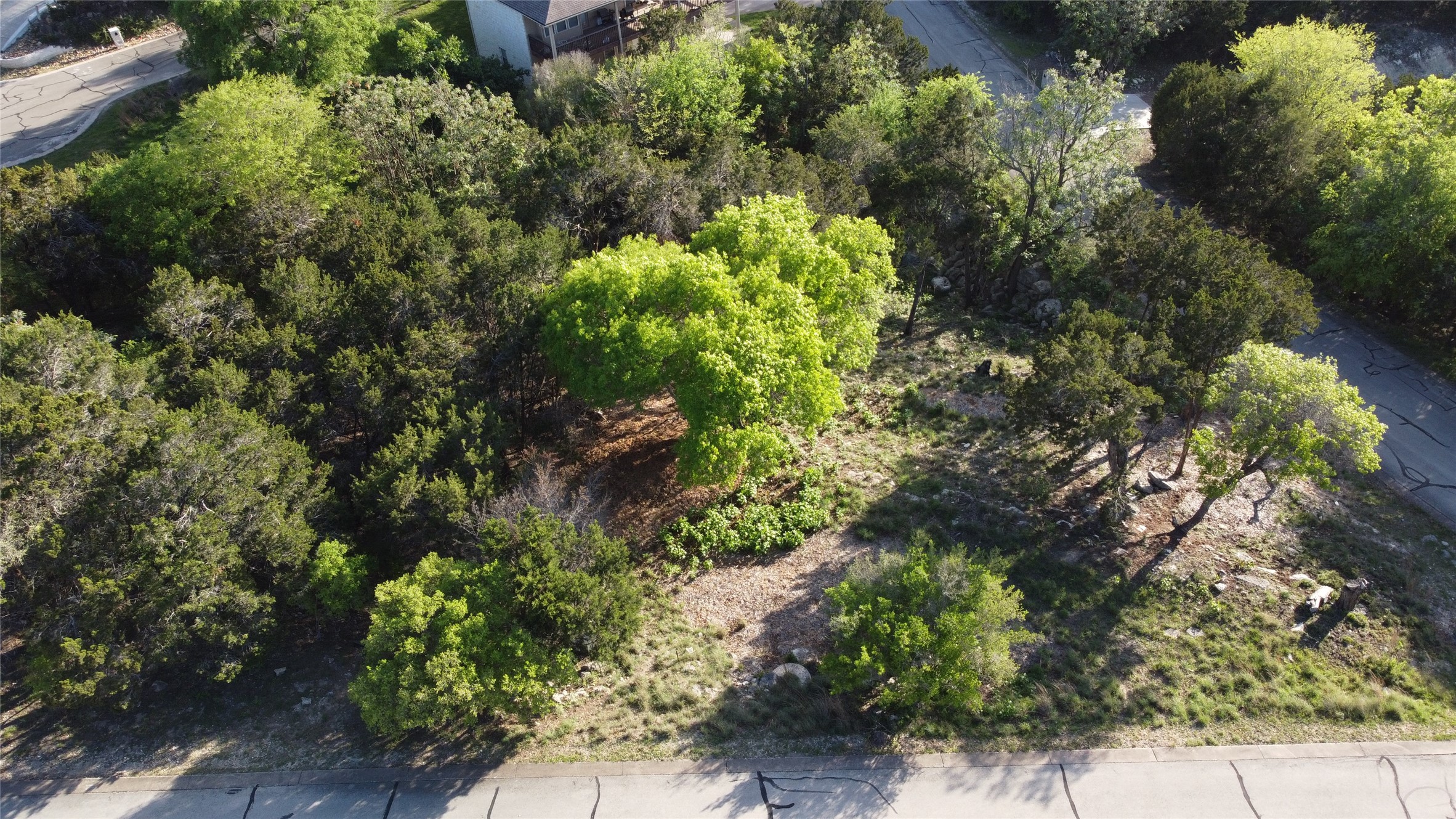 19009 Mariners Point Lago Vista, TX 78645 - Photo 5 of 7 a plant that is in a garden