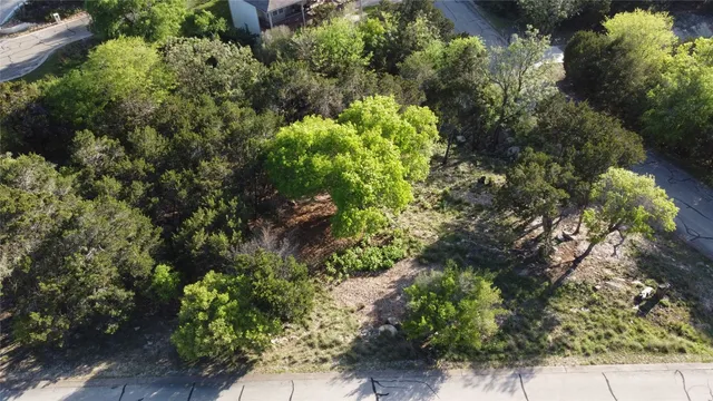 a plant that is in a garden