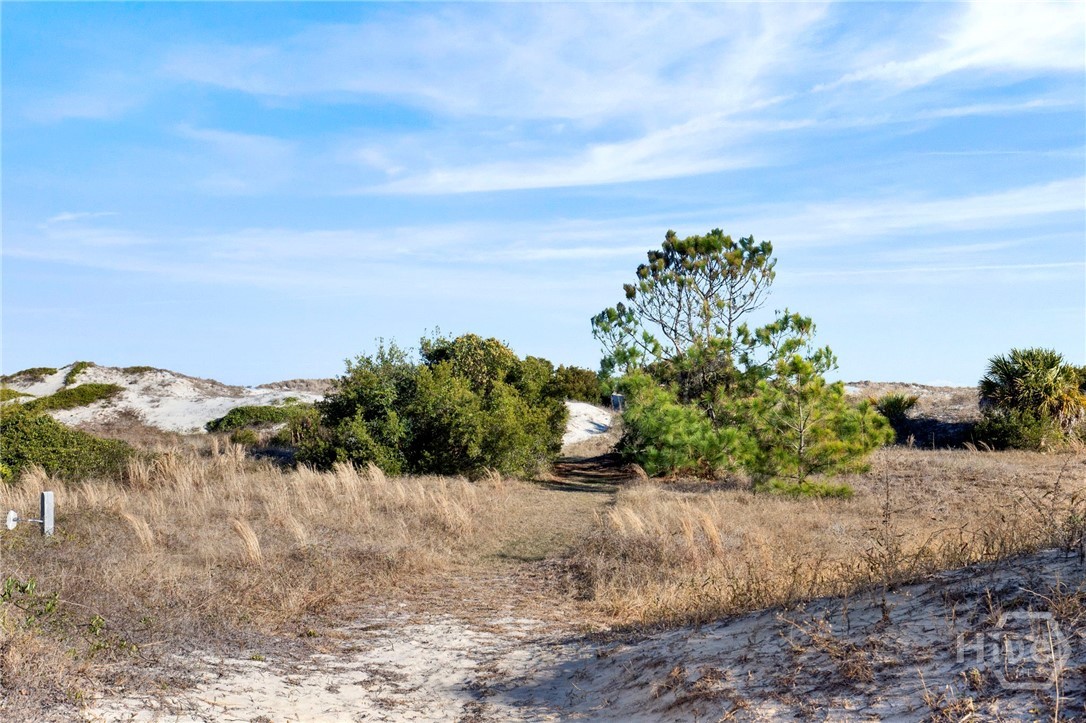 6 12th Terrace Tybee Island, GA 31328 - Photo 68 of 75