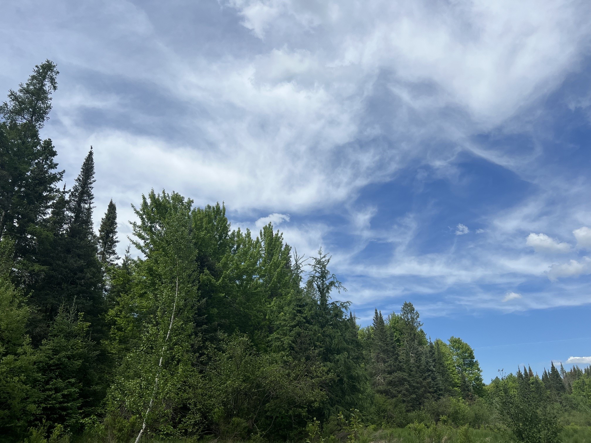 Lot 1 North Smith Road Couderay, WI 54828 - Photo 25 of 29