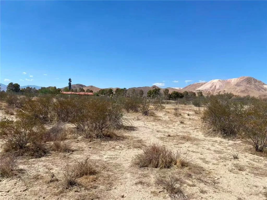 0 25th Street West Mojave, CA 93501 - Photo 4 of 14 a view of a dry yard with mountains in the background
