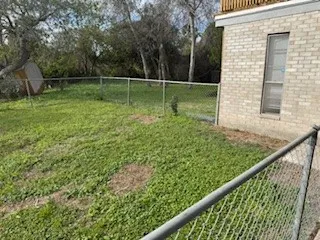 a view of a backyard