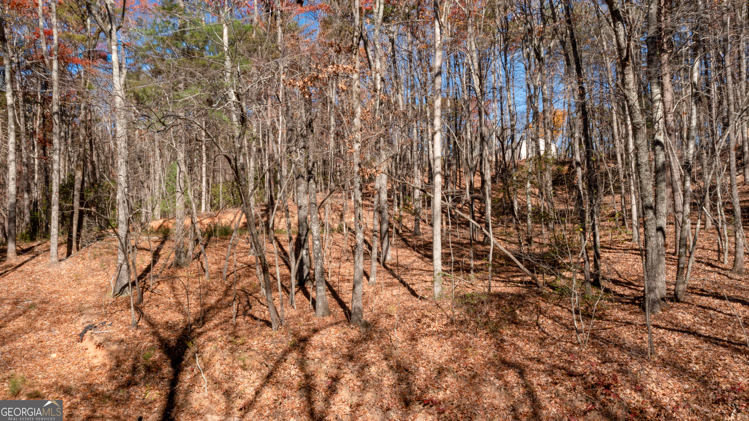 Lot 123 Mountain View Road Dawsonville, GA 30534 - Photo 15 of 15 a view of small yard