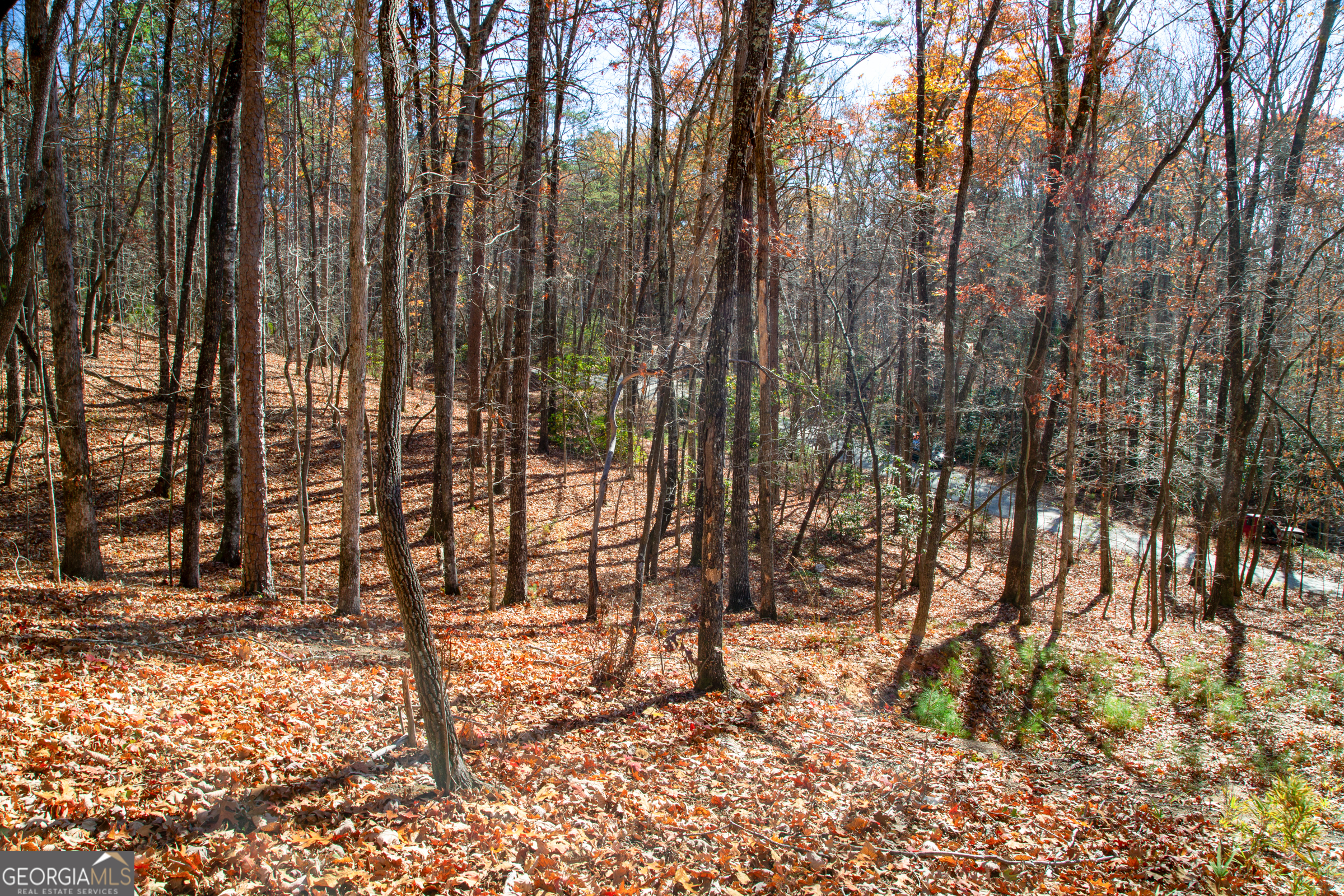 Lot 123 Mountain View Road Dawsonville, GA 30534 - Photo 5 of 15 a view of outdoor space with lots of trees