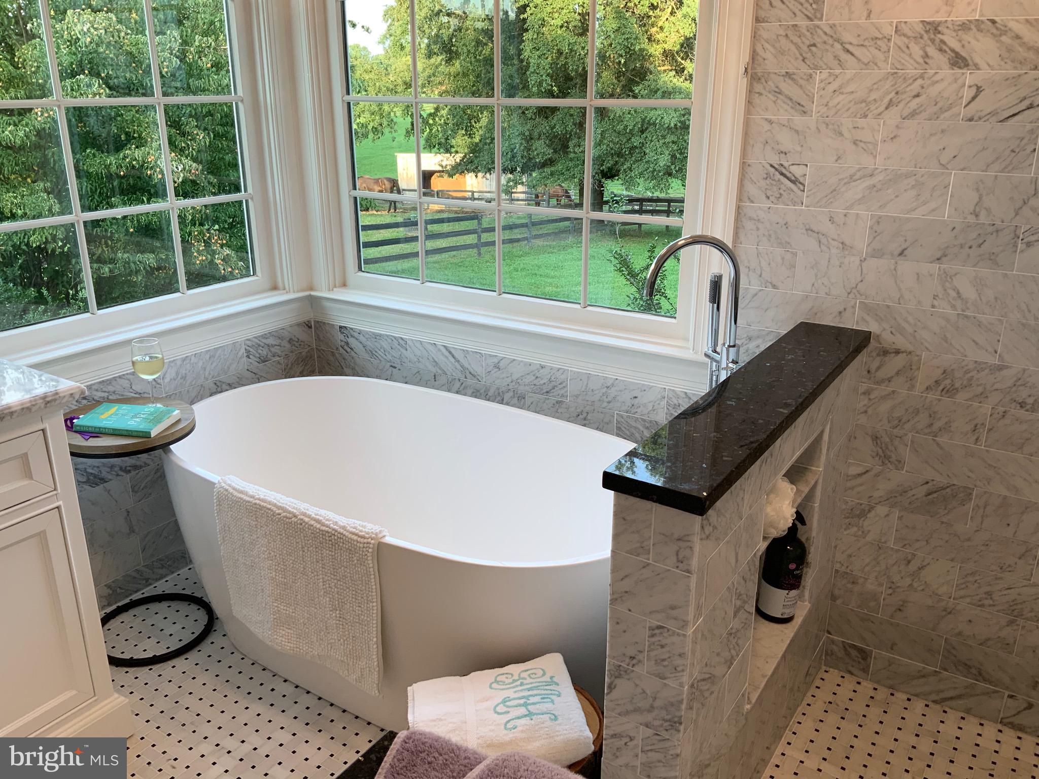 4045 Zulla Road The Plains, VA 20198 - Photo 19 of 33 Master bath w/view