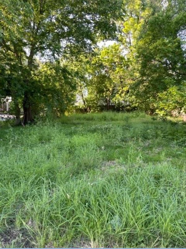 422 East 32nd Street Houston, TX 77018 - Photo 3 of 6