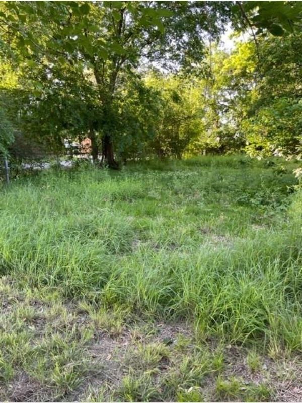 422 East 32nd Street Houston, TX 77018 - Photo 4 of 6
