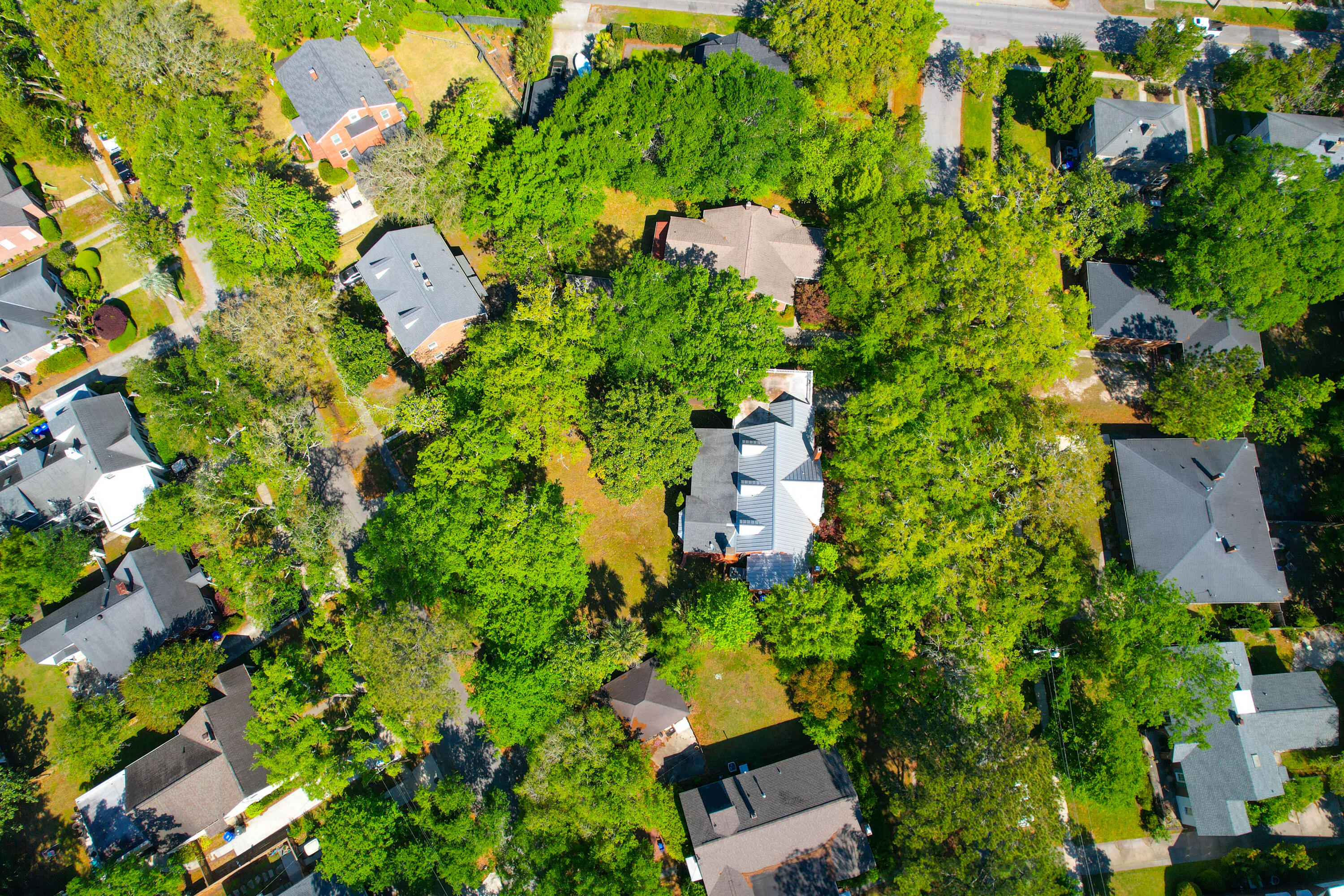 41 Berkeley Road Charleston, SC 29407 - Photo 46 of 47 41 Berkeley -Tidalcreekphoto- (59)