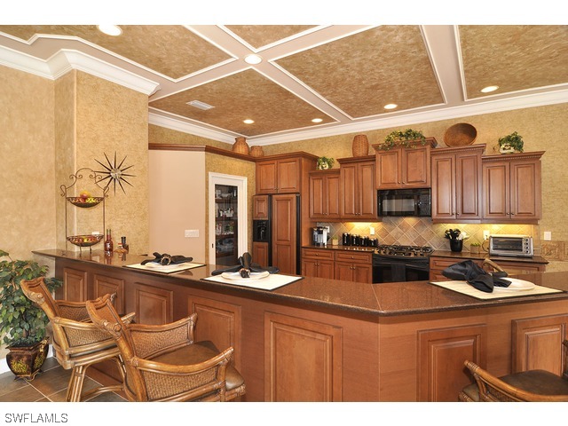 9981 Rookery Circle Estero, FL 33928 - Photo 4 of 18 Gallery Image 4