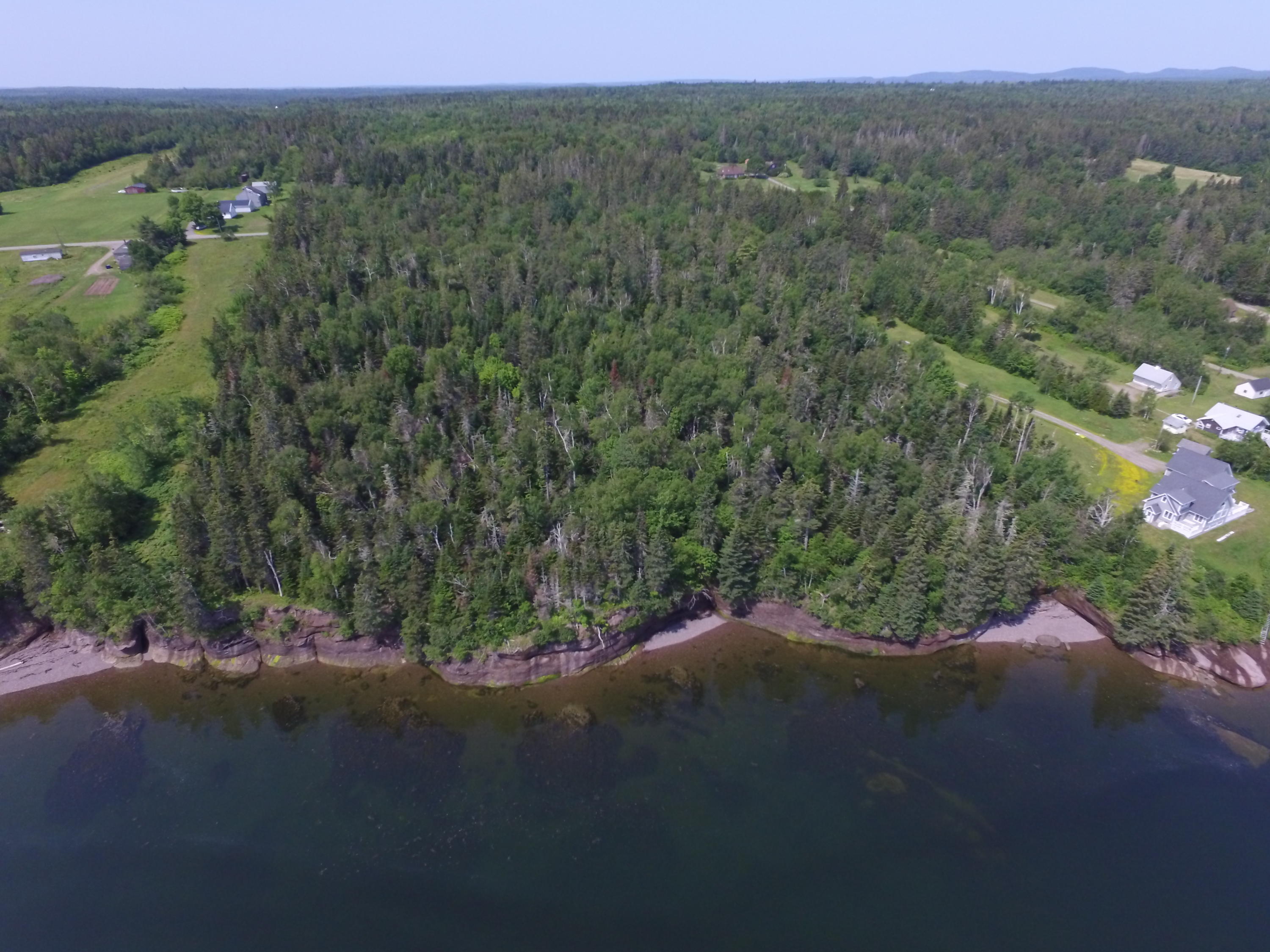 Xx Shore Road Perry, ME 04667 - Photo 1 of 77 Woodland on Passamaquoddy Bay