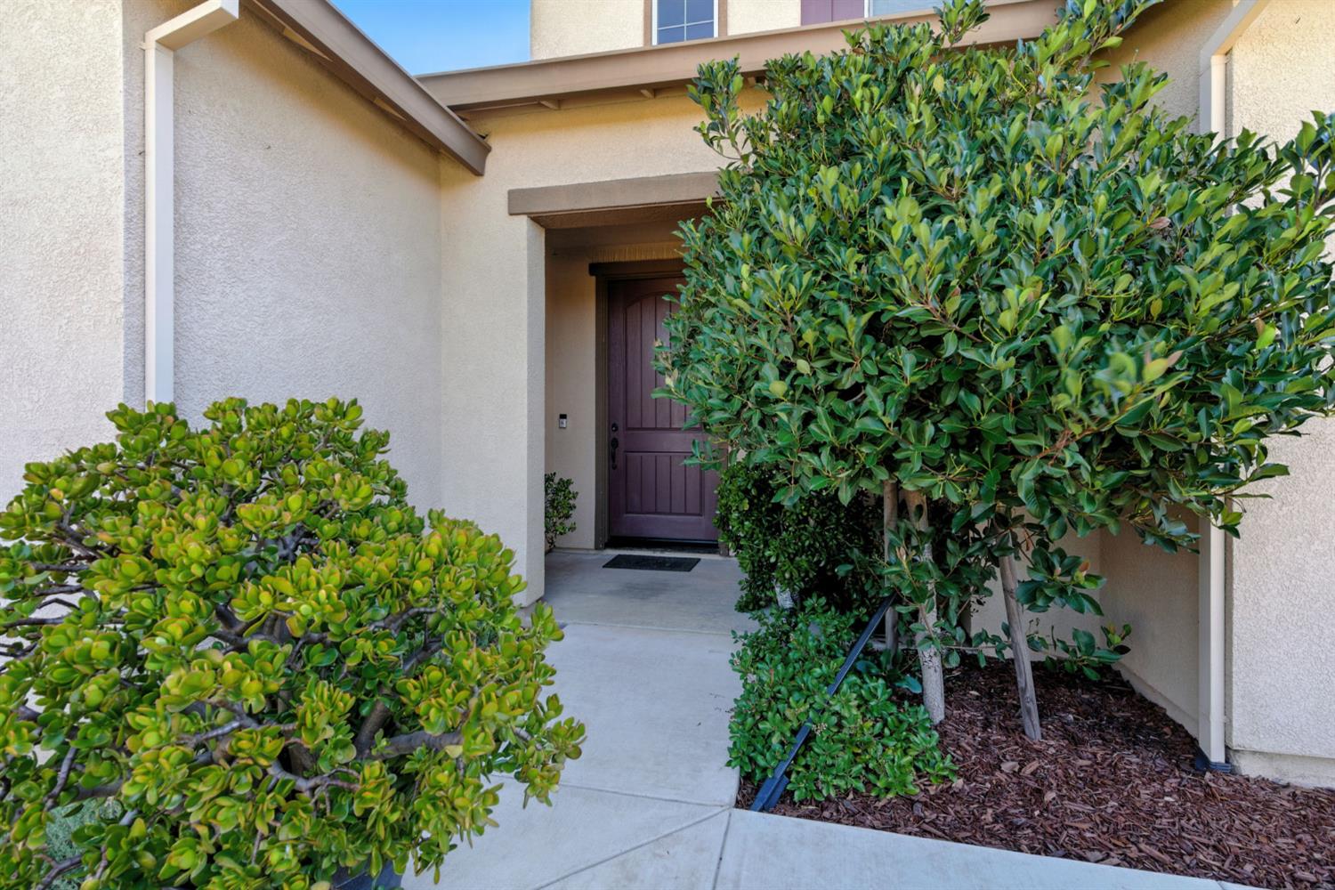 18200 Broadmoor Way Lathrop, CA 95330 - Photo 4 of 48 property entrance with stucco siding