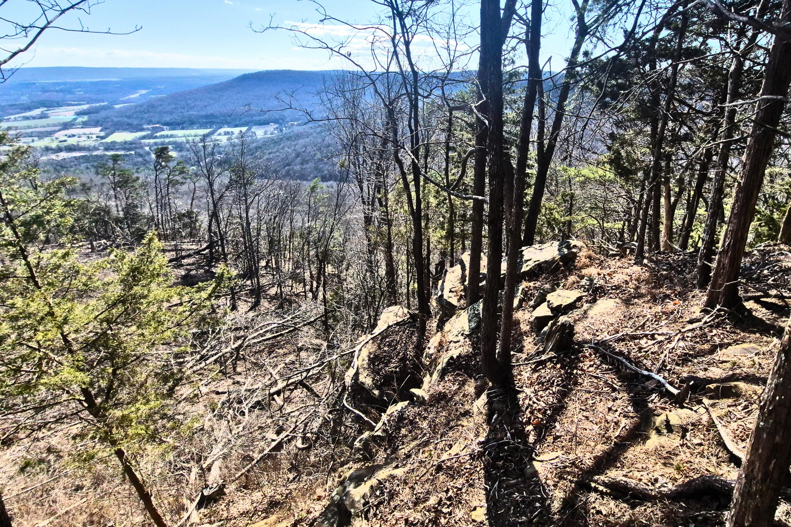 Lot 9 Lodge Point Road South Pittsburg, TN 37380 - Photo 11 of 26 10