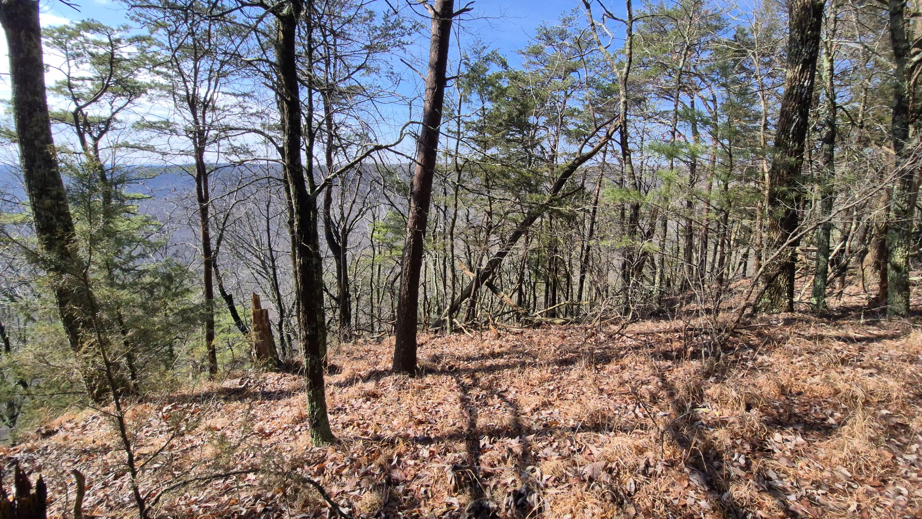 Lot 9 Lodge Point Road South Pittsburg, TN 37380 - Photo 13 of 26 20260211_115101