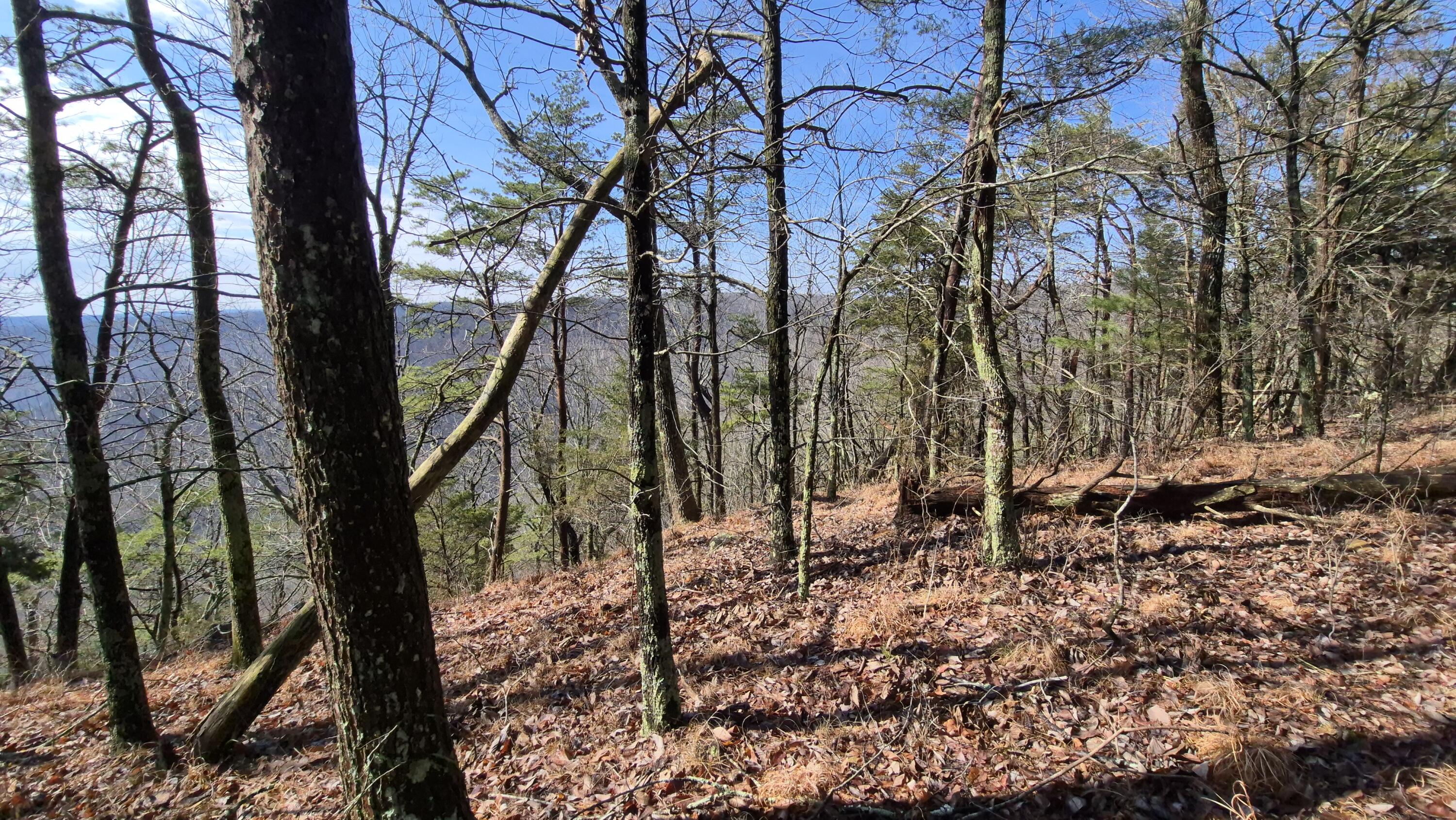 Lot 9 Lodge Point Road South Pittsburg, TN 37380 - Photo 14 of 26 20260211_114957