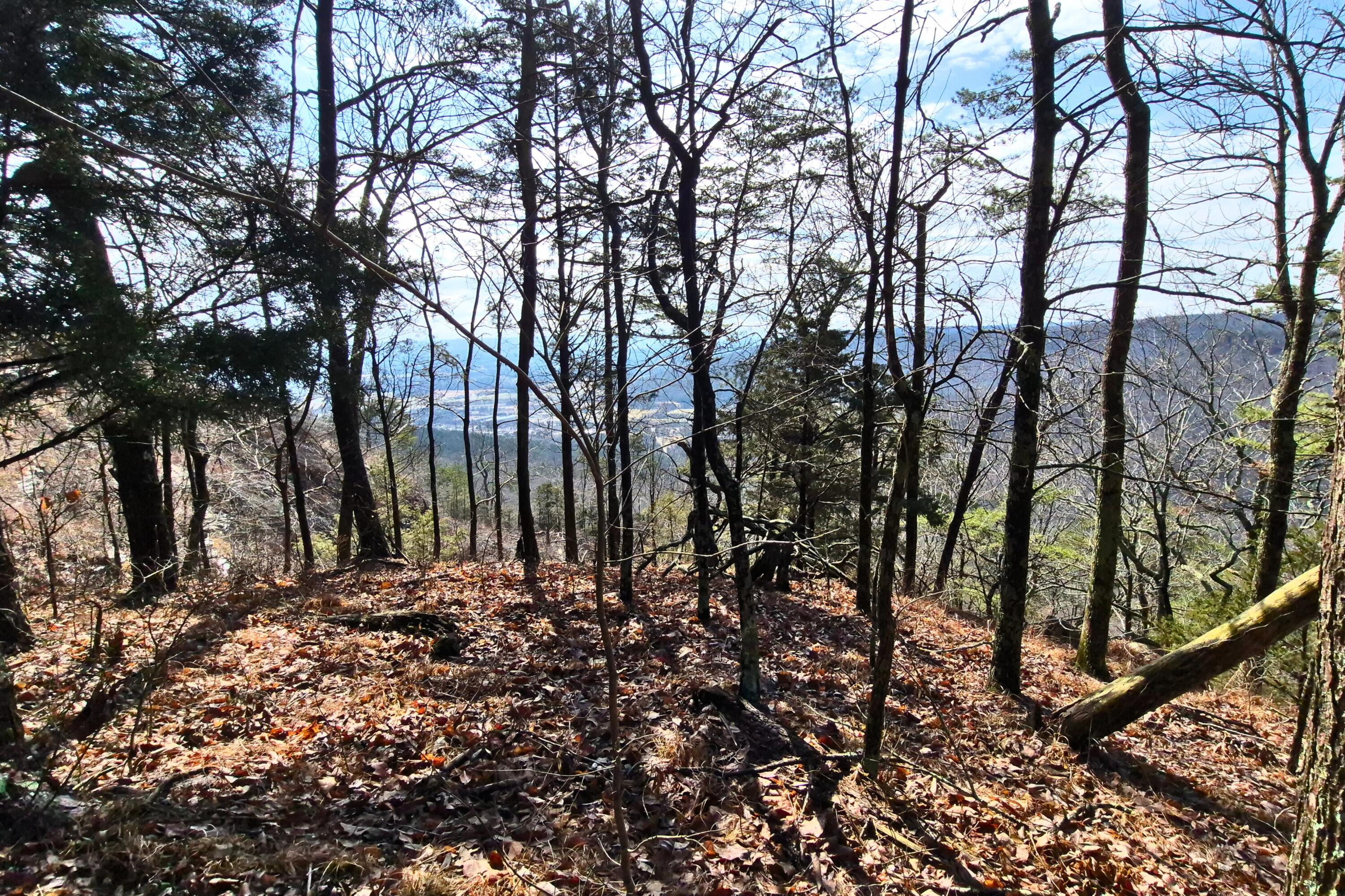 Lot 9 Lodge Point Road South Pittsburg, TN 37380 - Photo 15 of 26 24