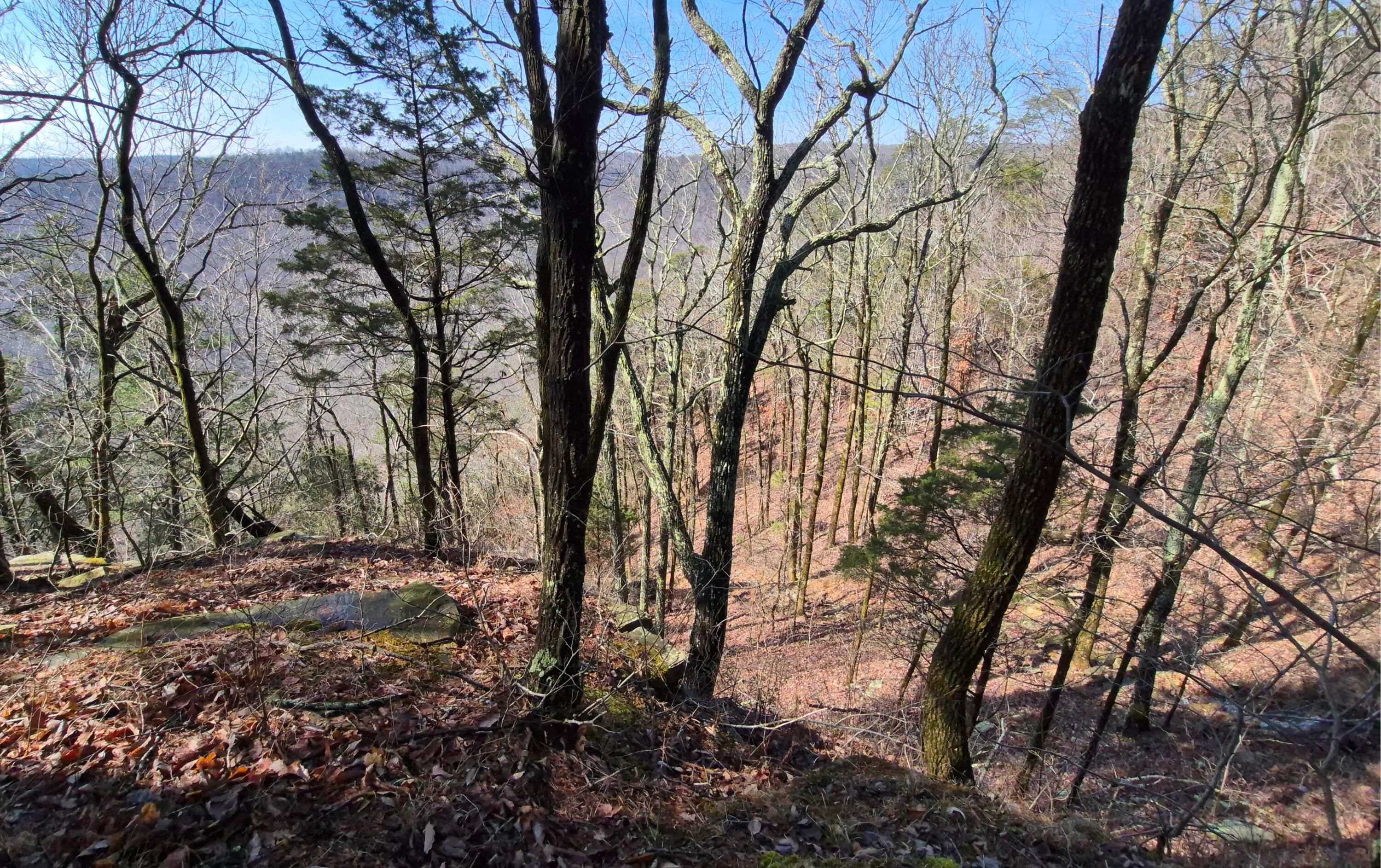 Lot 9 Lodge Point Road South Pittsburg, TN 37380 - Photo 17 of 26 23