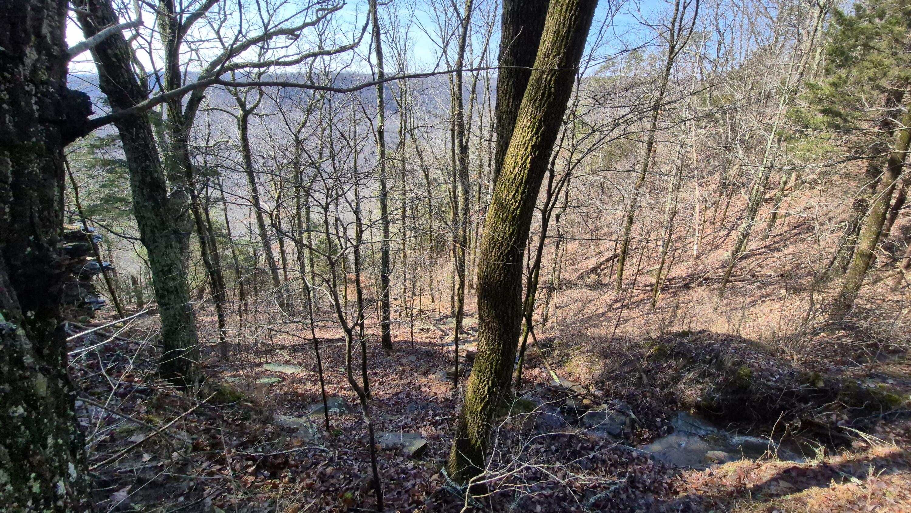 Lot 9 Lodge Point Road South Pittsburg, TN 37380 - Photo 18 of 26 20260211_120103