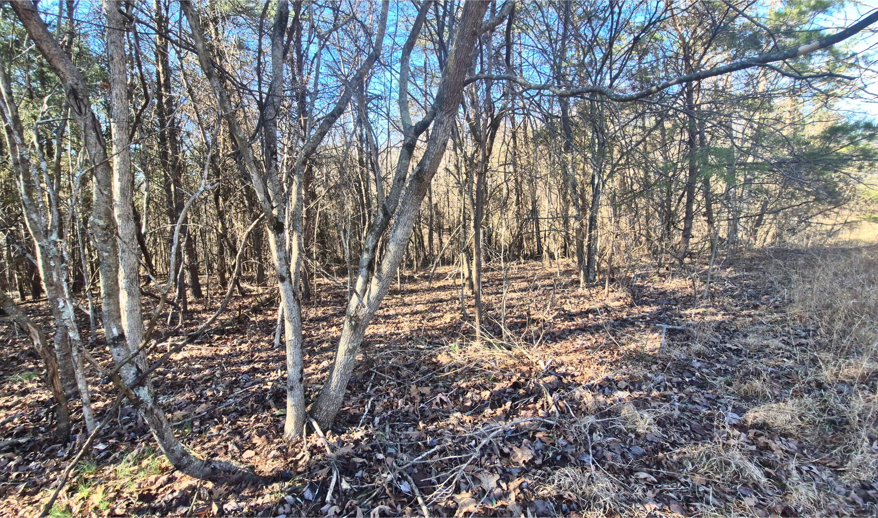 Lot 9 Lodge Point Road South Pittsburg, TN 37380 - Photo 20 of 26 1