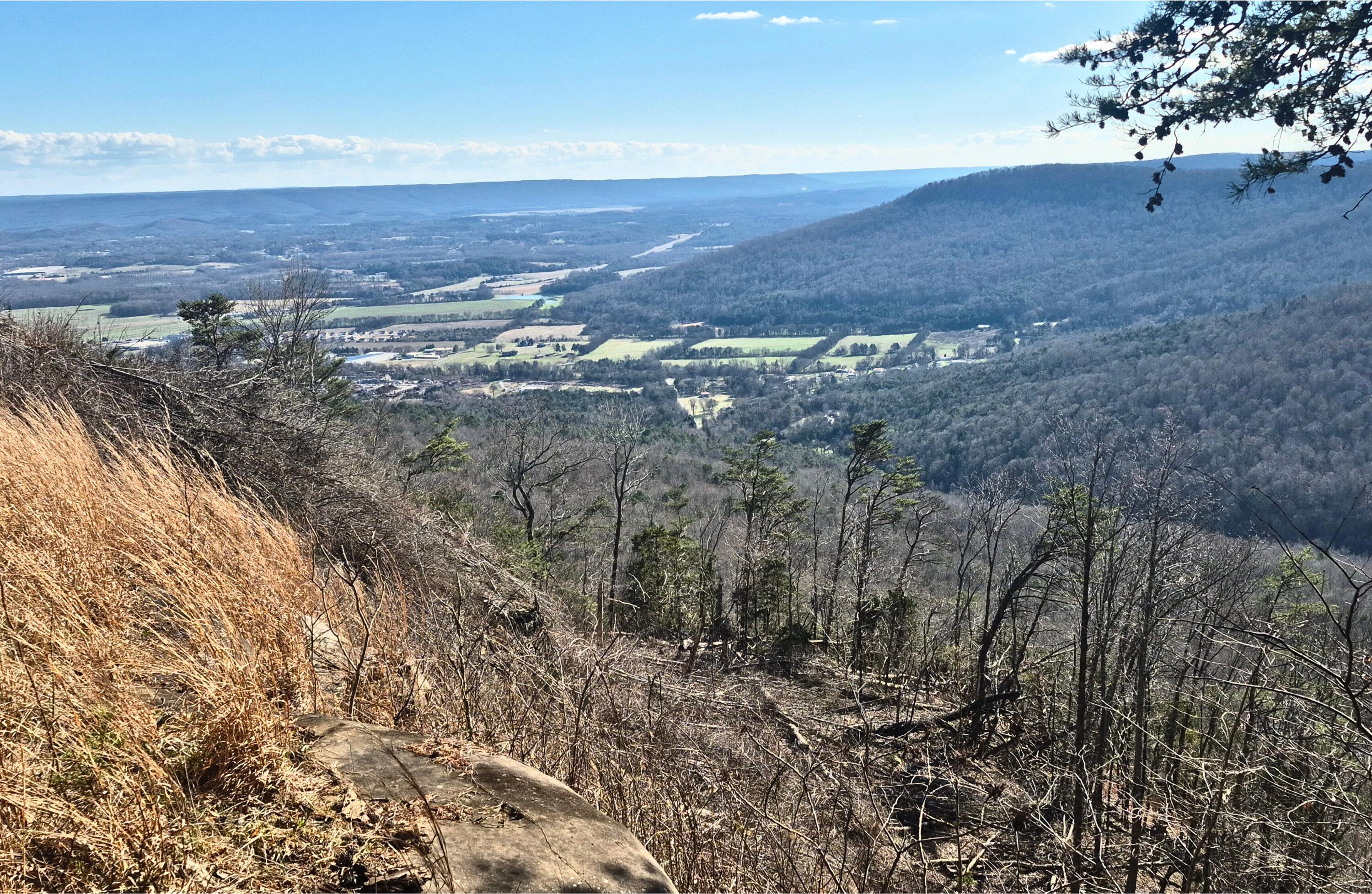 Lot 9 Lodge Point Road South Pittsburg, TN 37380 - Photo 3 of 26 7