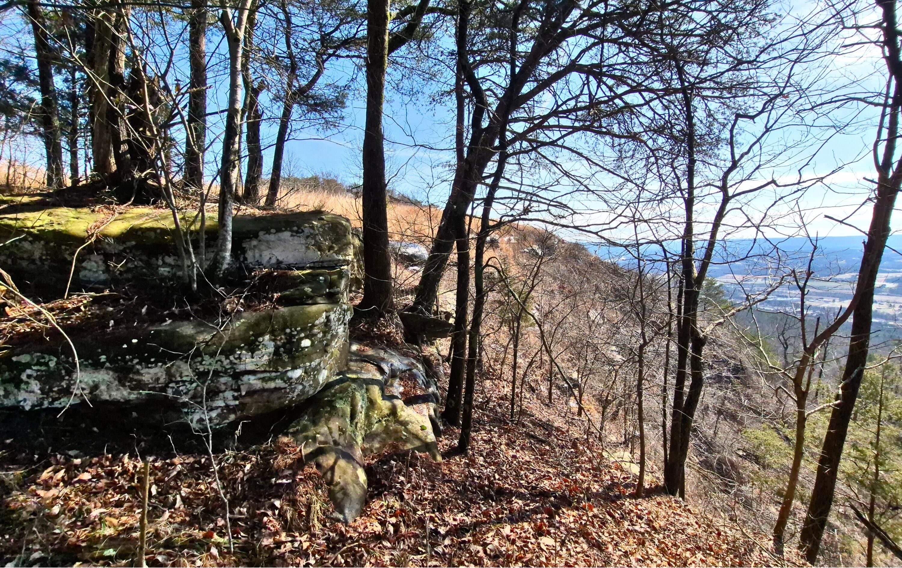 Lot 9 Lodge Point Road South Pittsburg, TN 37380 - Photo 4 of 26 14