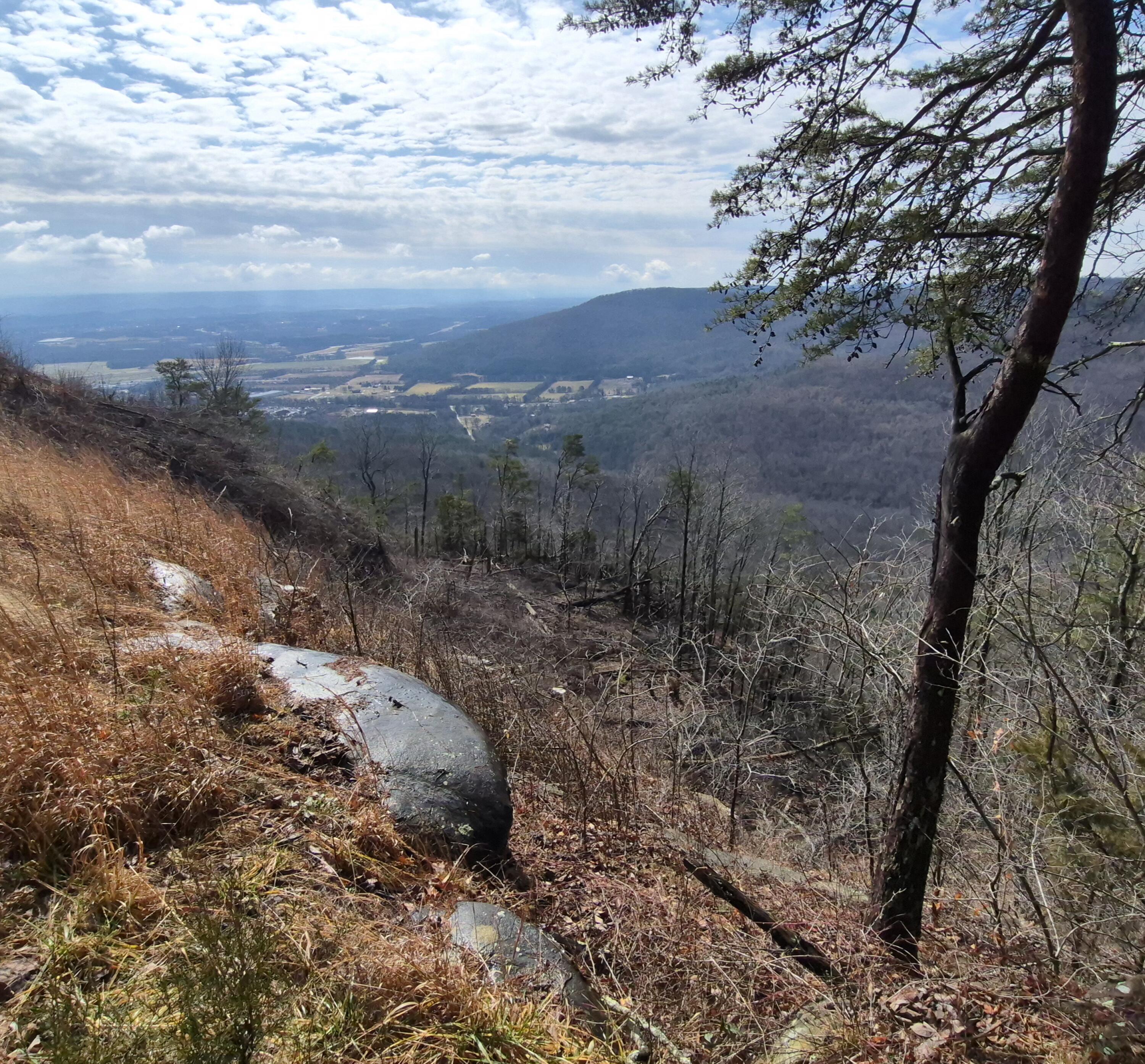 Lot 9 Lodge Point Road South Pittsburg, TN 37380 - Photo 5 of 26 20260211_114732