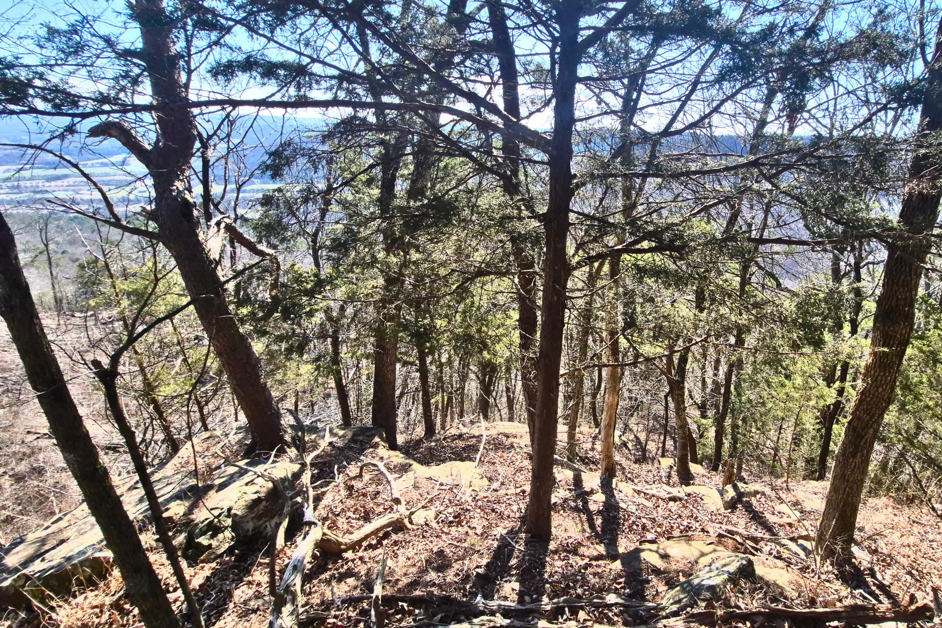 Lot 9 Lodge Point Road South Pittsburg, TN 37380 - Photo 8 of 26 8