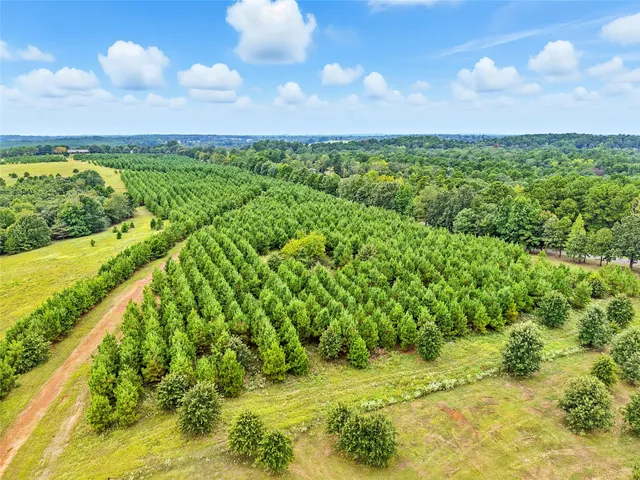 $2,900,000 | 179 Springlake Drive, Gladewater, TX 75647