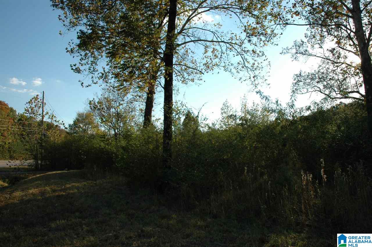 4100 Center Point Road Pinson, AL 35126 - Photo 4 of 5