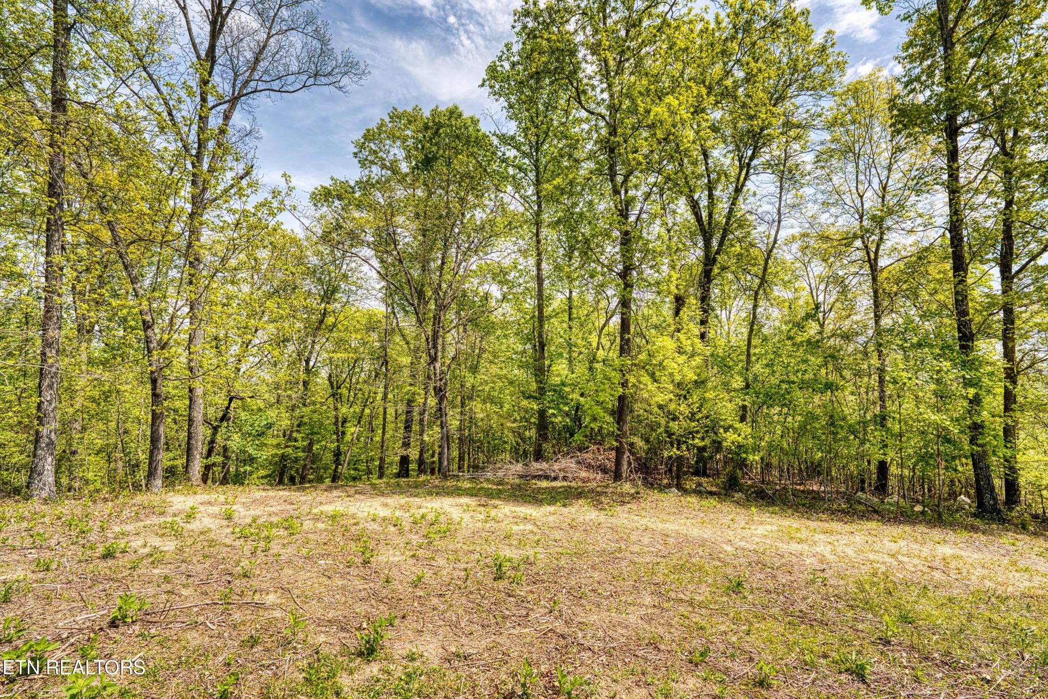 0 Sheerwater Road Kingston, TN 37763 - Photo 11 of 14 Gallery Image 11