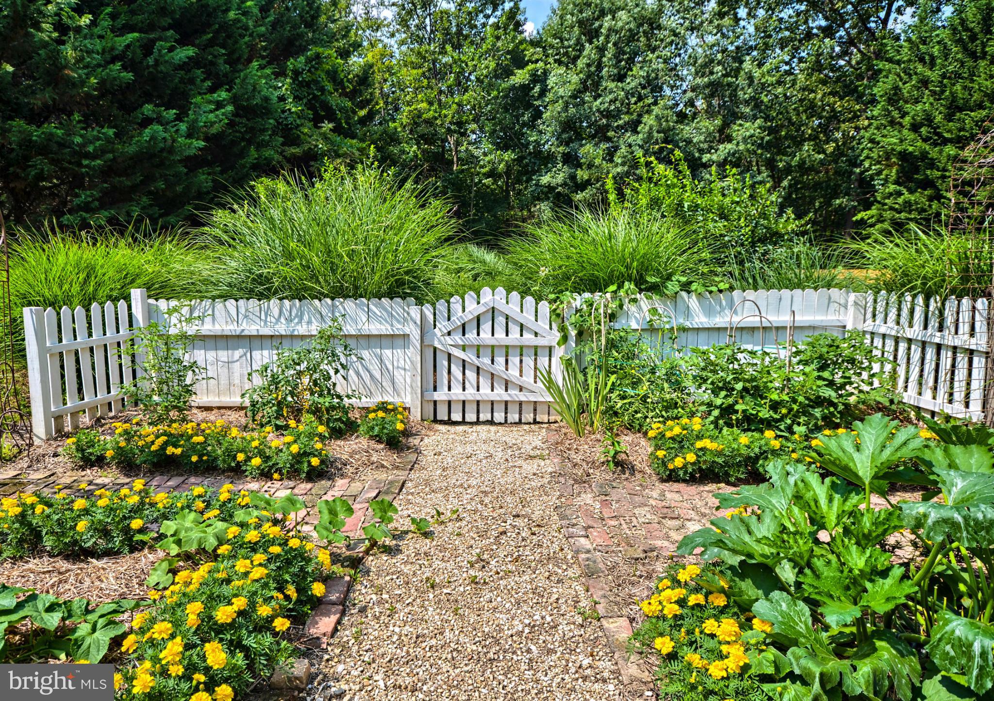 4520 Elmer Derr Road Frederick, MD 21703 - Photo 8 of 30 Exterior (Rear)