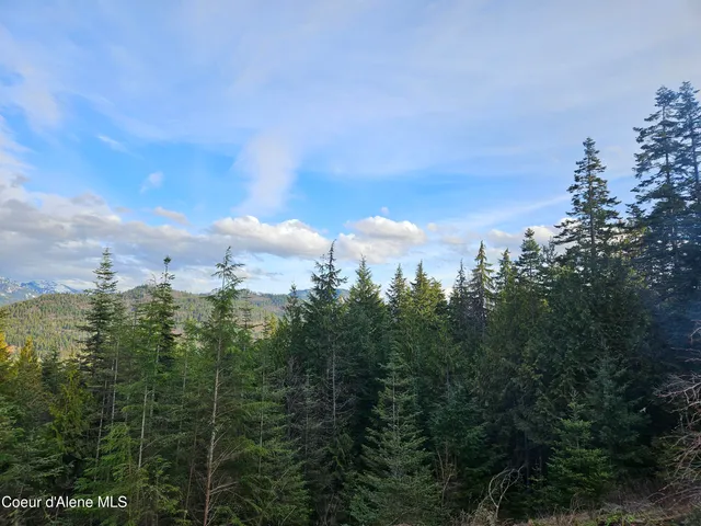 $290,000 | Lot 7 Sled Run Trail, Clark Fork, ID 83811