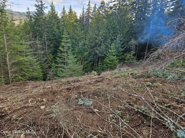 $290,000 | Lot 7 Sled Run Trail, Clark Fork, ID 83811