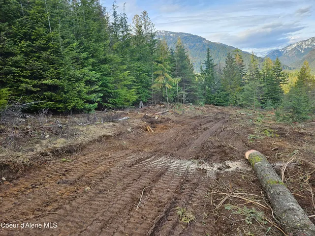 $290,000 | Lot 7 Sled Run Trail, Clark Fork, ID 83811