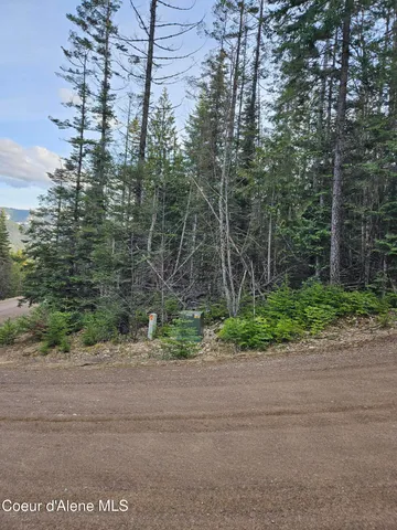 $290,000 | Lot 7 Sled Run Trail, Clark Fork, ID 83811