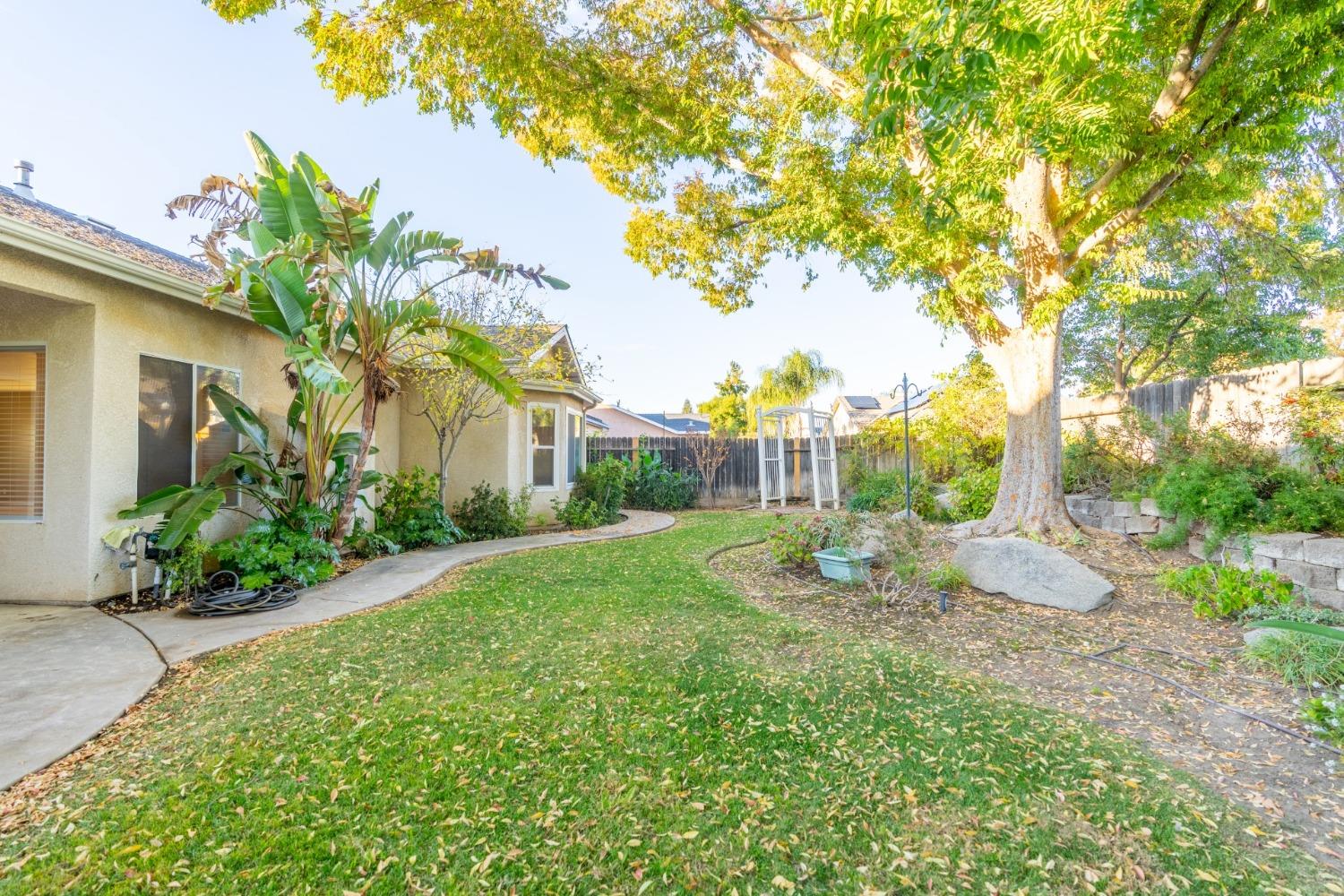 2573 Applegate Avenue Clovis, CA 93611 - Photo 24 of 26 a view of a yard with plants and trees