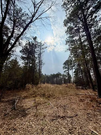 a view of mountain view with trees