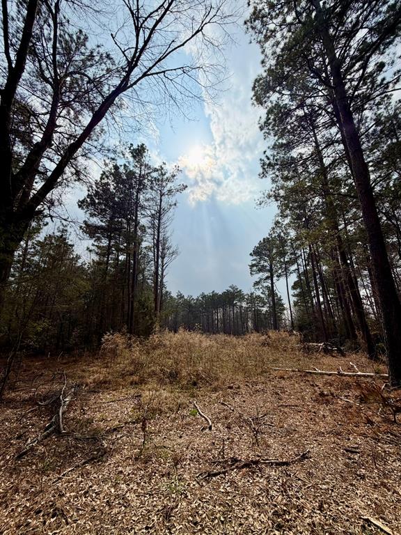 0 Belle Bower Texas Line Road Logansport, LA 71049 - Photo 3 of 5 a view of mountain view with trees