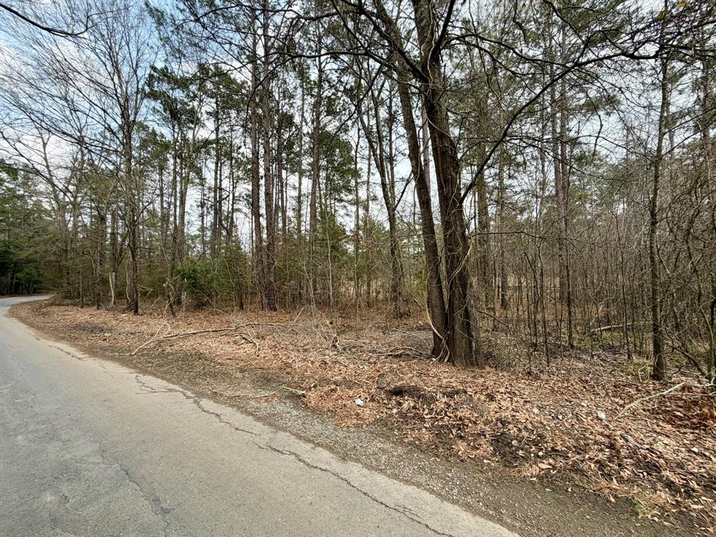 0 Belle Bower Texas Line Road Logansport, LA 71049 - Photo 4 of 5 a view of a forest with trees in the background