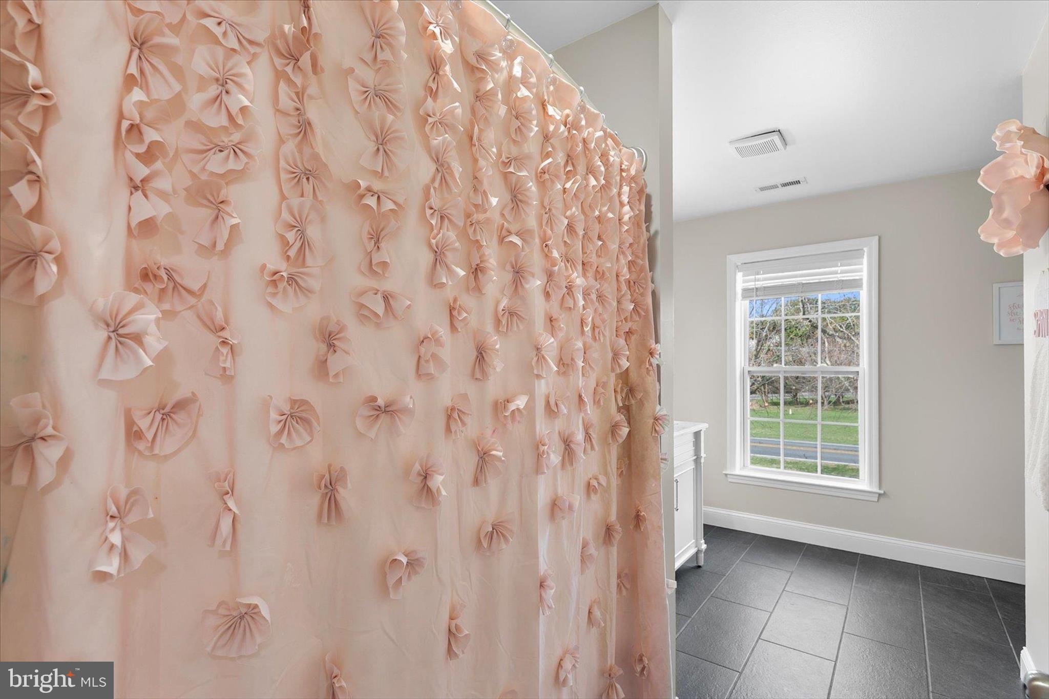 24697 Peterkins Road Georgetown, DE 19947 - Photo 36 of 54 Hall Bathroom