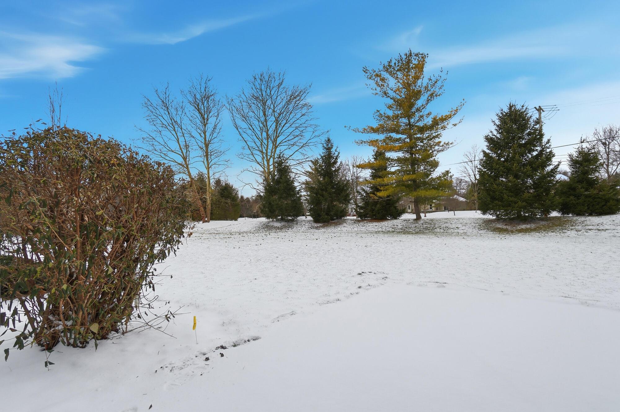 6938 Avery Road Dublin, OH 43017 - Photo 37 of 40 6938 Avery Rd - Back Yard