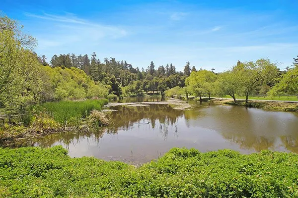 $1,099,000 | 75 Redwood Drive, La Honda, CA 94020
