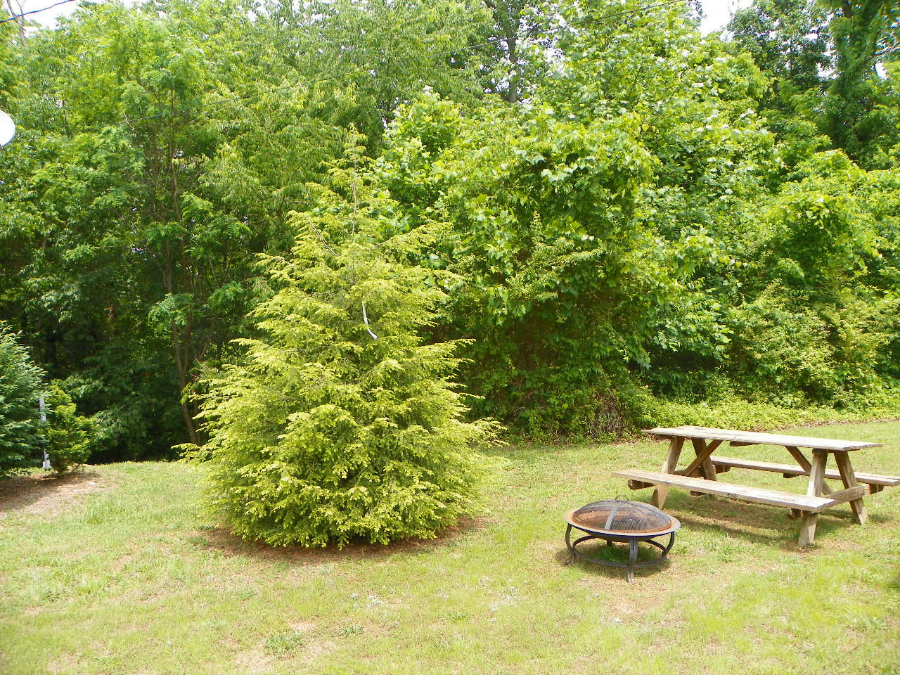 3570 Olde Tyme Way Sevierville, TN 37862 - Photo 3 of 23 101_5082