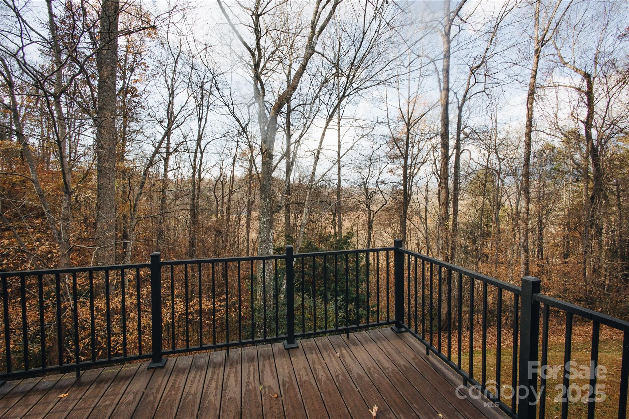 89 Bobcat Path Marion, NC 28752 - Photo 23 of 48 a view of a balcony with trees